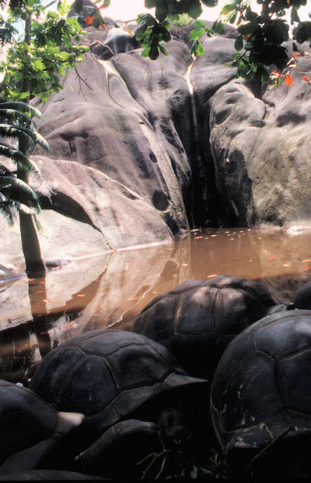 Seychellen 1999-073.jpg